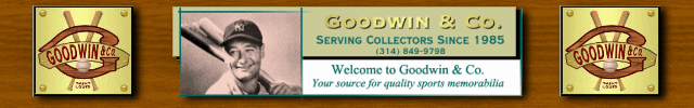 Go to Goodwin & Co. Website